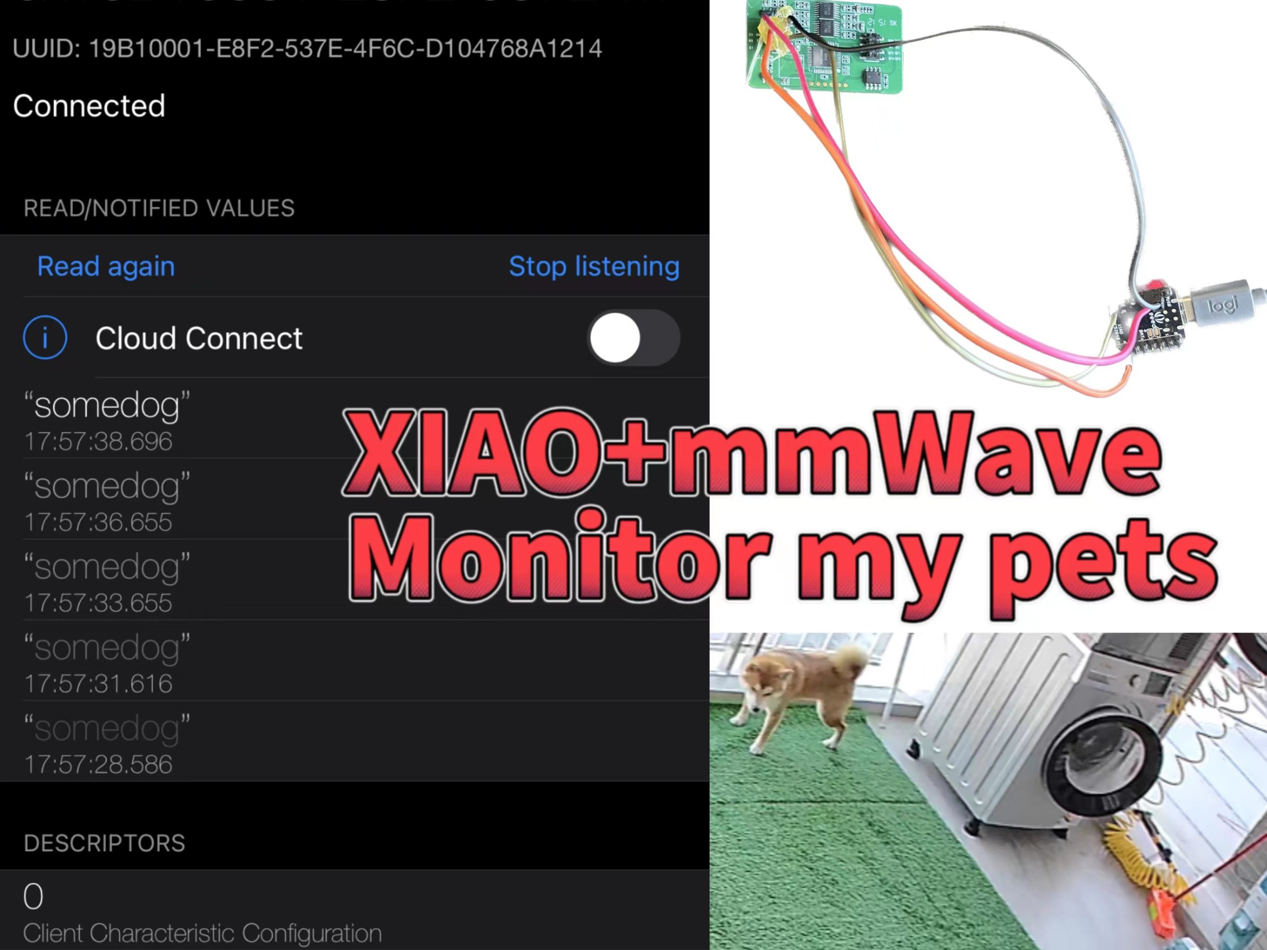 Monitor your pet with XIAO BLE+mmWave sensor Hackster.io