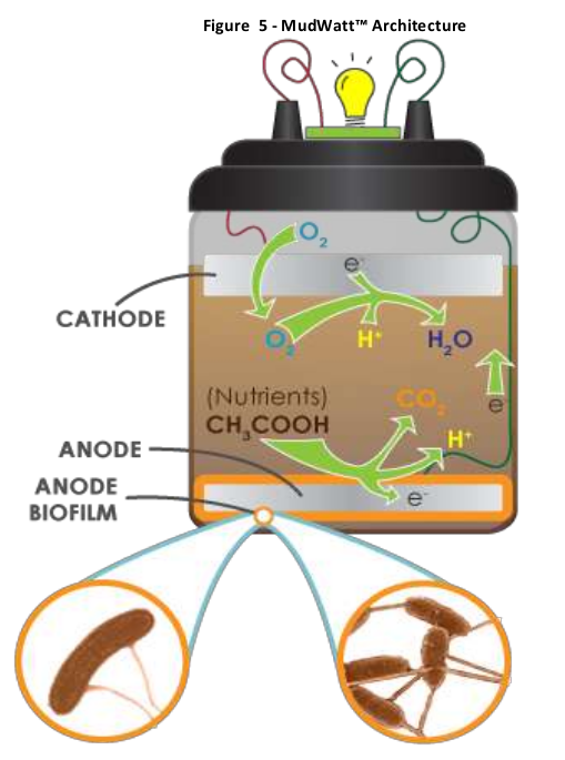 DIY Microbial Fuel Cells Hackteria Wiki