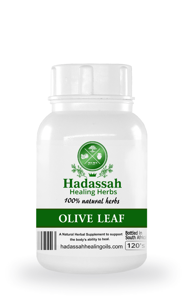 Olive Leaf 120 Capsules Hadassah Healing Oils
