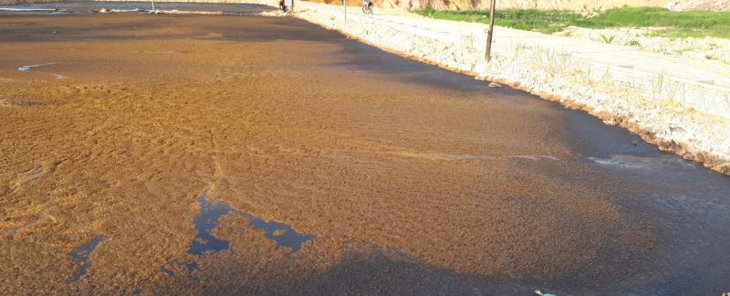 Palm Acid Oil HADE Energia Globale