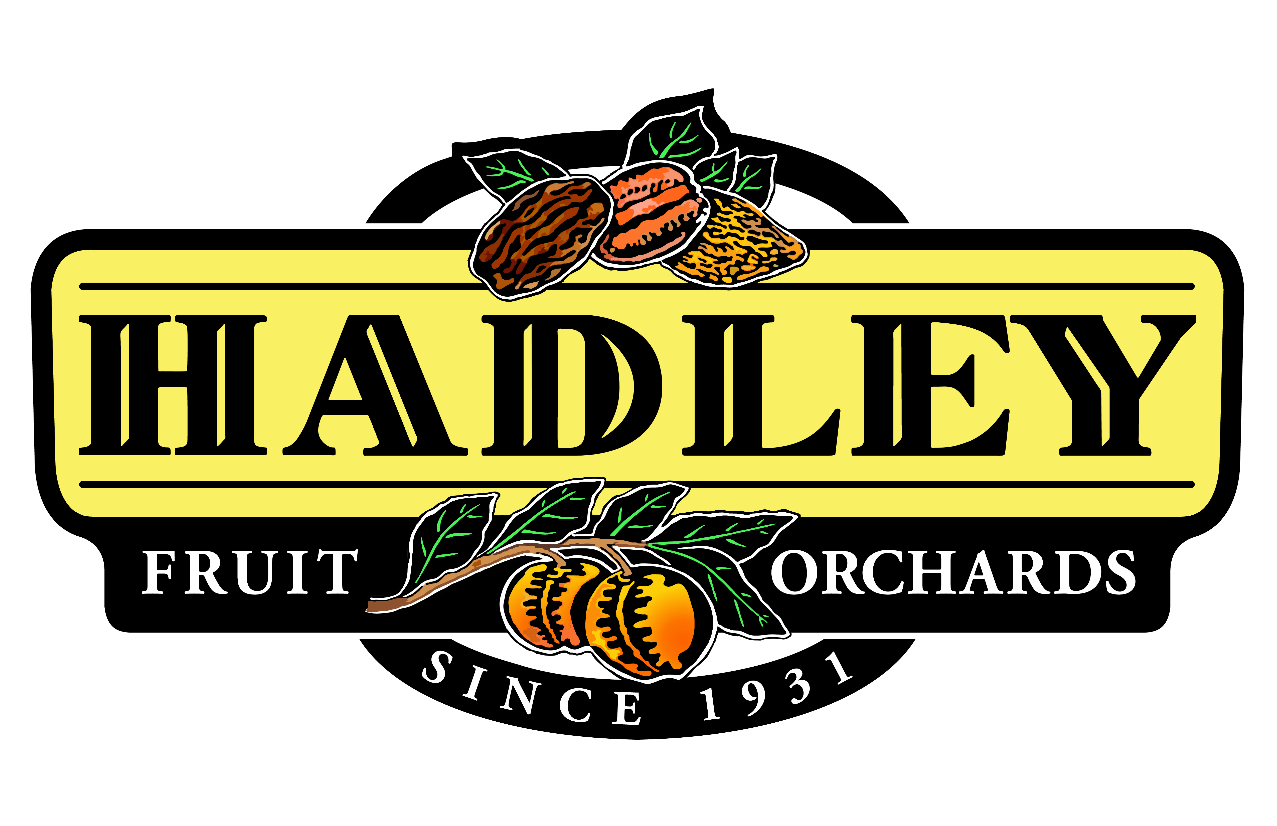 Dark Chocolate Covered Round Orange Slices Hadley Fruit Orchards