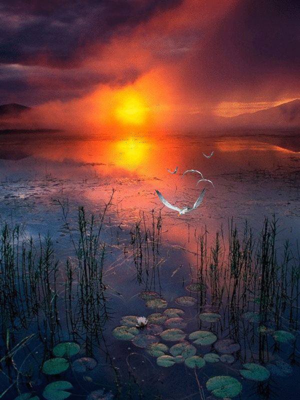 sunset et sunrise