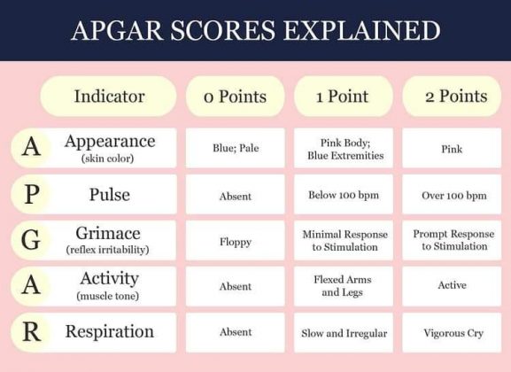 What is APGAR Score? Newborn Assessment Tool Hafiz Helper Series