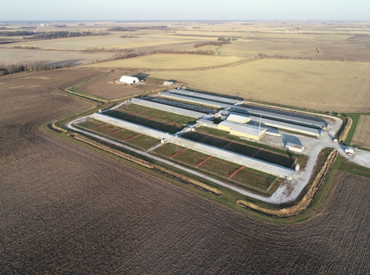 Illinois Farm For Sale Iroquois County Egg Farm Hageman Realty, Inc.