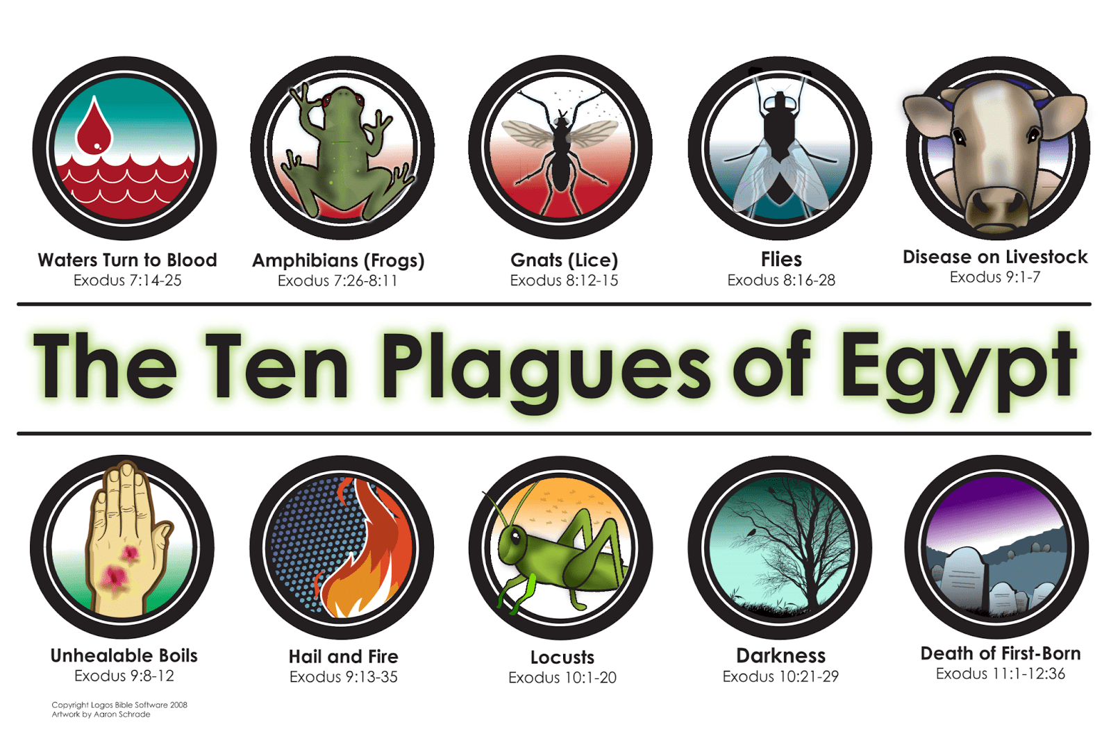 The Ten Plagues Passover haggadah by Rachel Schulties