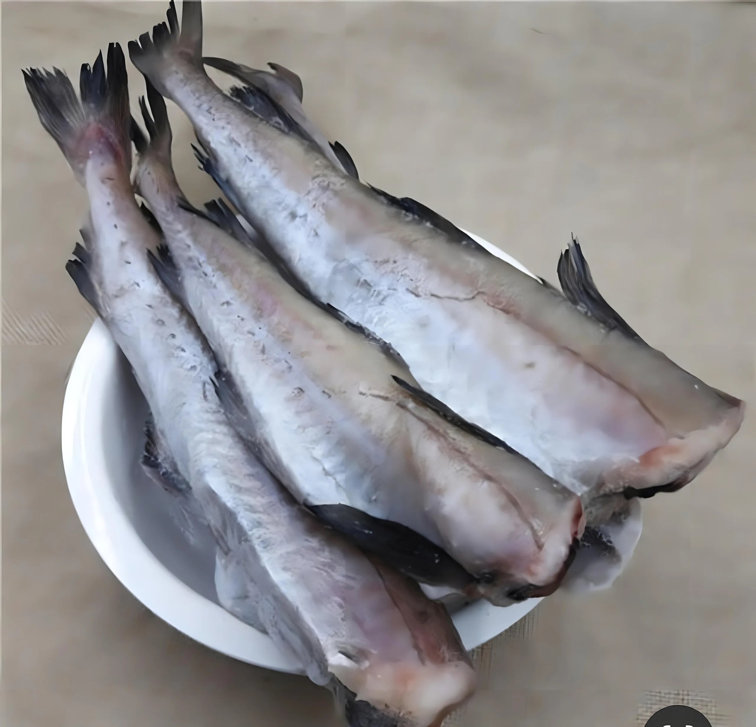 Alaska Pollock's Impact on Russia's Seafood Prices HaidongSeafood