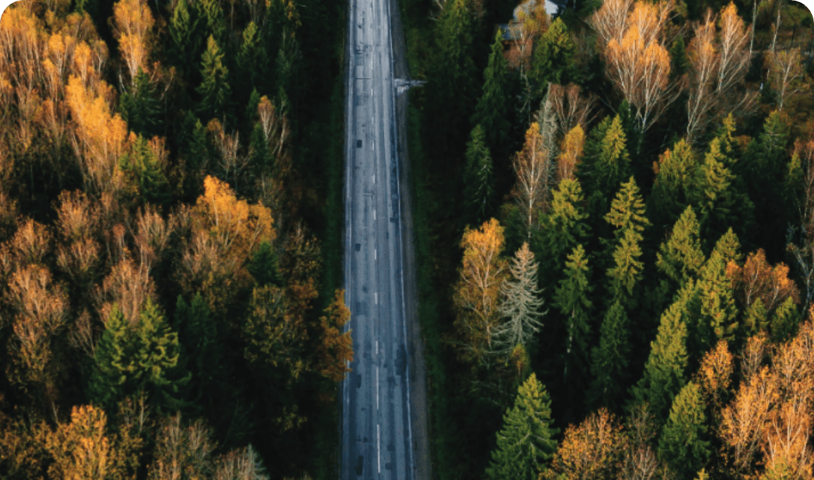 Haig Report Dealership BuySell Advisors Haig Partners