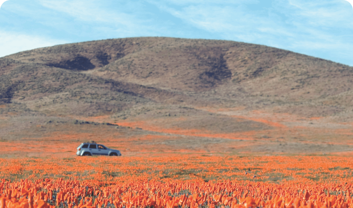 Haig Report Dealership BuySell Advisors Haig Partners