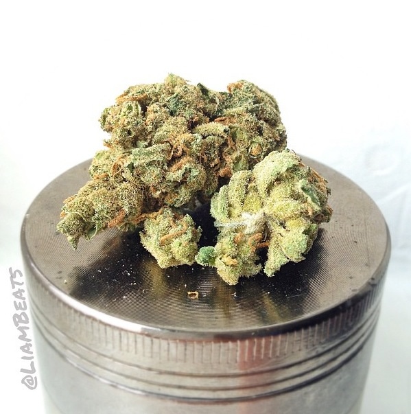 18 of the Best Marijuana Based Instagram Feeds To Follow Hail Mary Jane