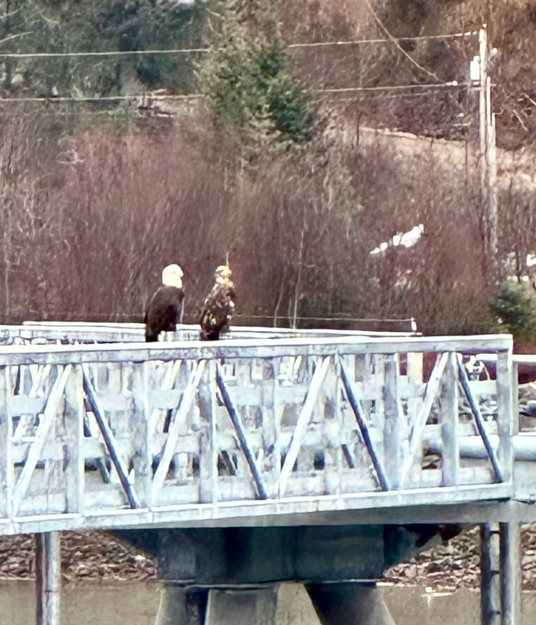 First Week in Haines Haines Happenings