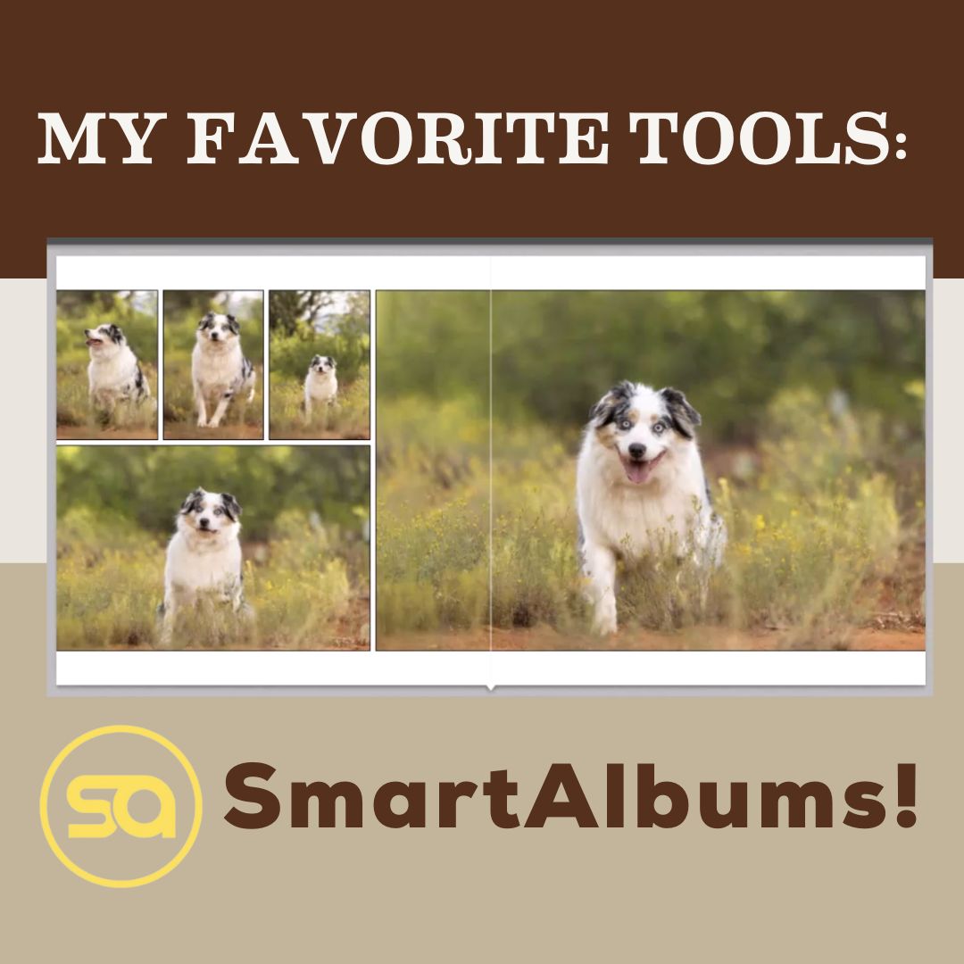 Creating photography albums FAST with SmartAlbums • Hair of the Dog