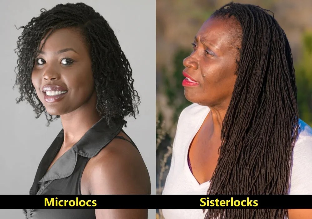 Microlocs Vs. Sisterlocks Which One Is Better? Hairstyle Camp