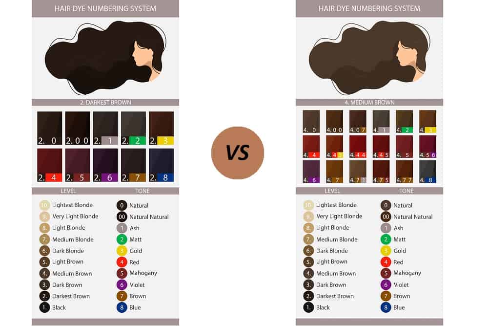 Hair Color 2 Vs. Hair Color 4 What’s the Difference? HairstyleCamp