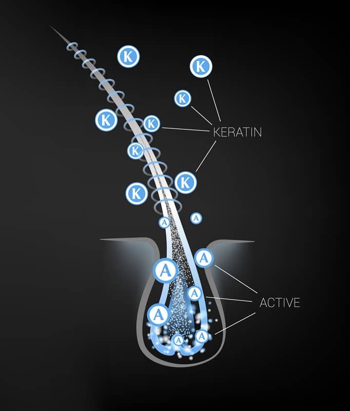 50 Professional Hair Cutting and Styling Terms & Definitions (With