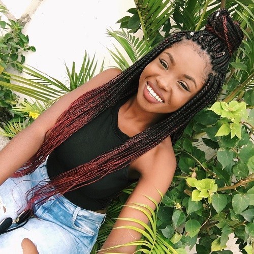 Senegalese Twist Vs. Box Braid Which One Is Better For You