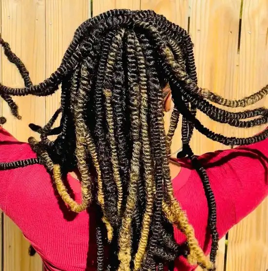 Spring Twists vs. Passion Twists Explaining The Two Hairstyles Using