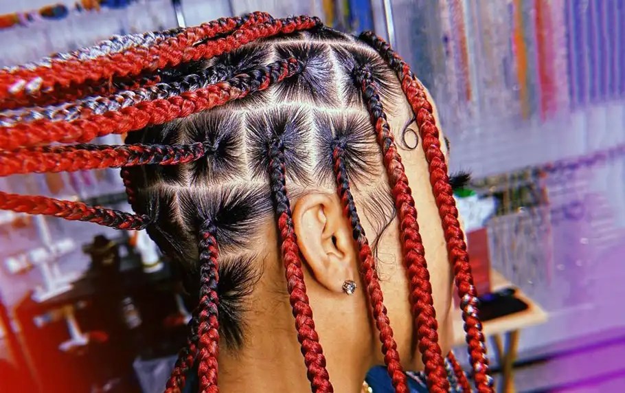 Medium Knotless Braids with Color 20 Astonishing Hairstyles to Try in 2023