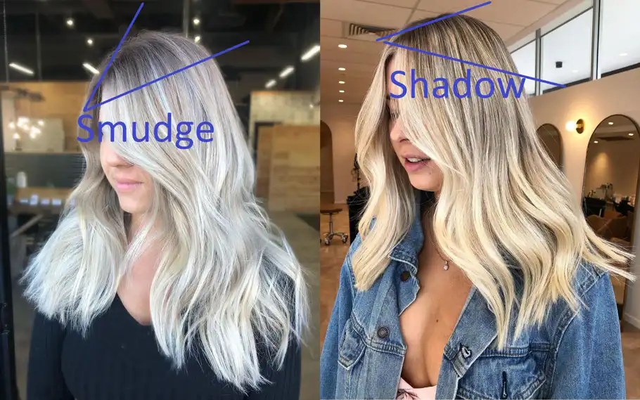Root Smudge Vs. Shadow Root Which Is Easier to Maintain?