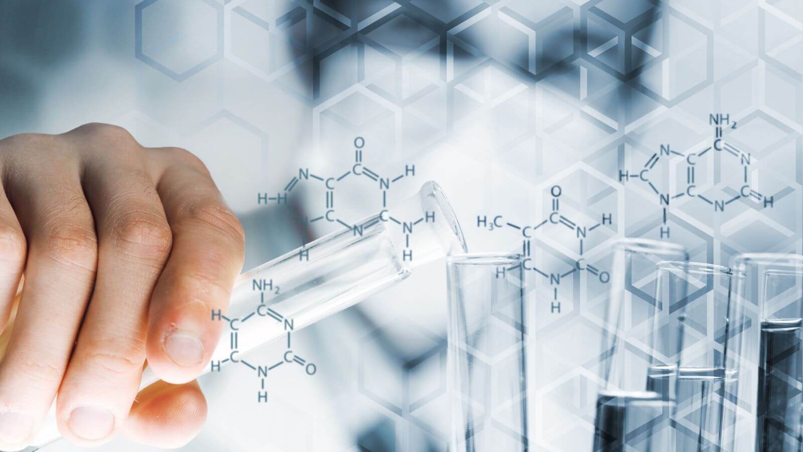Alcohol Hair Testing Test Hair For Alcohol Retrospectively 3 to 6 months