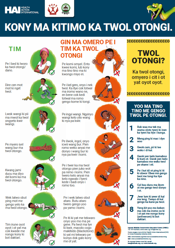 Snake Bite First Aid Poster