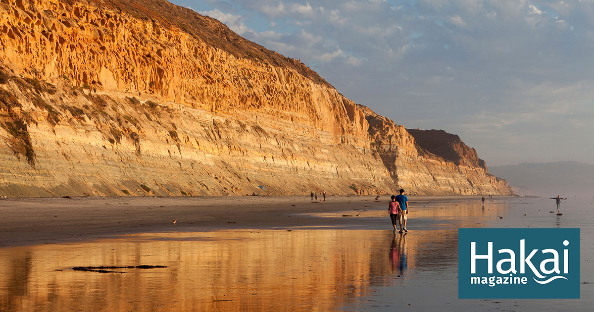 Predicting When the Next Bluff Will Fall Hakai Magazine