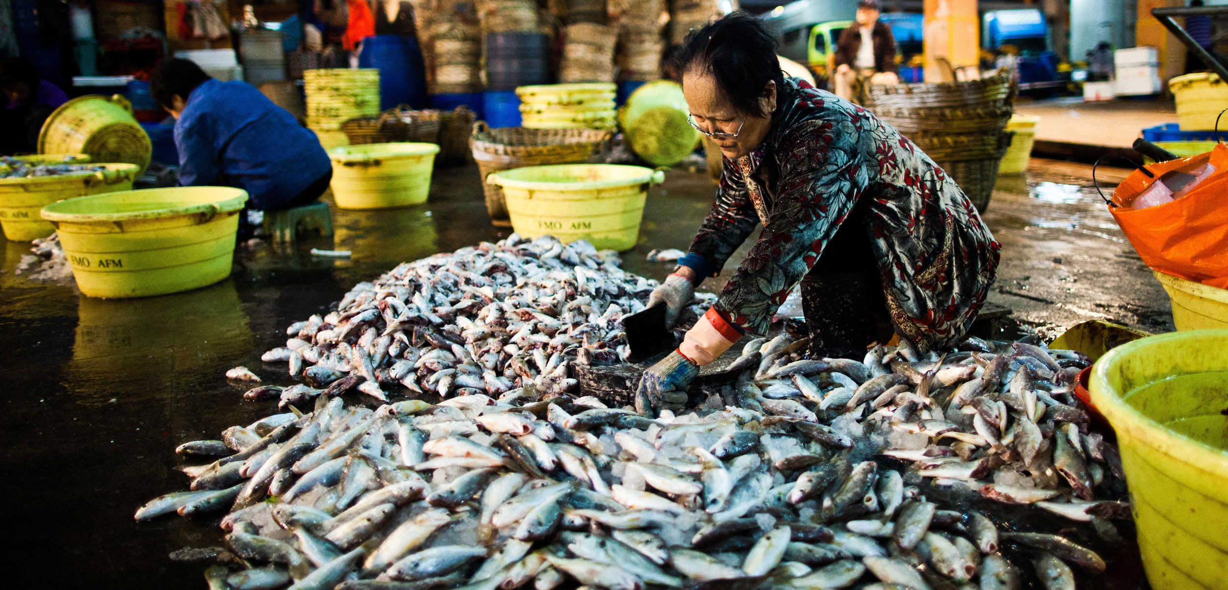 The Consequences of China’s Booming Demand for Seafood Hakai Magazine