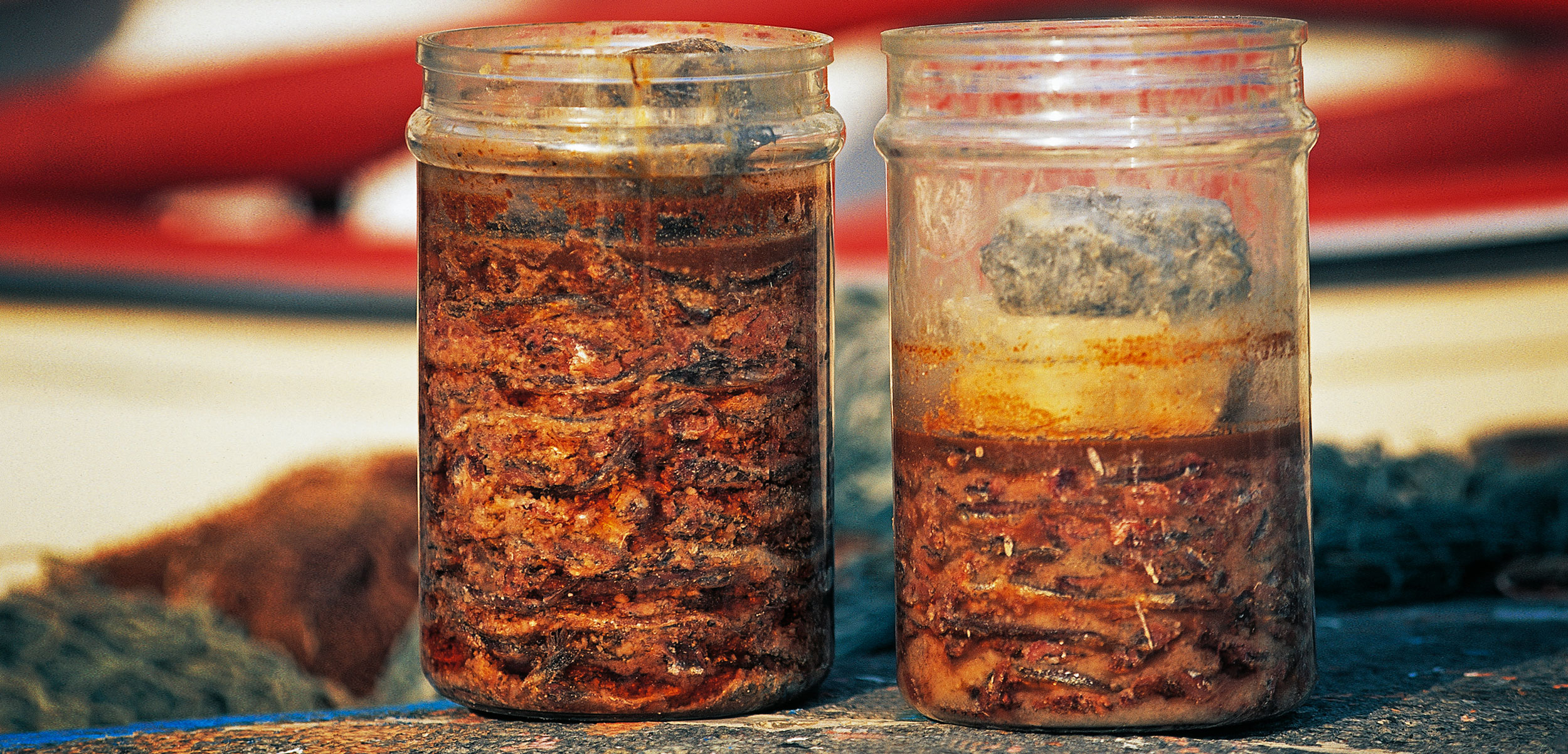 Fermenting Fish Takes Guts Hakai Magazine