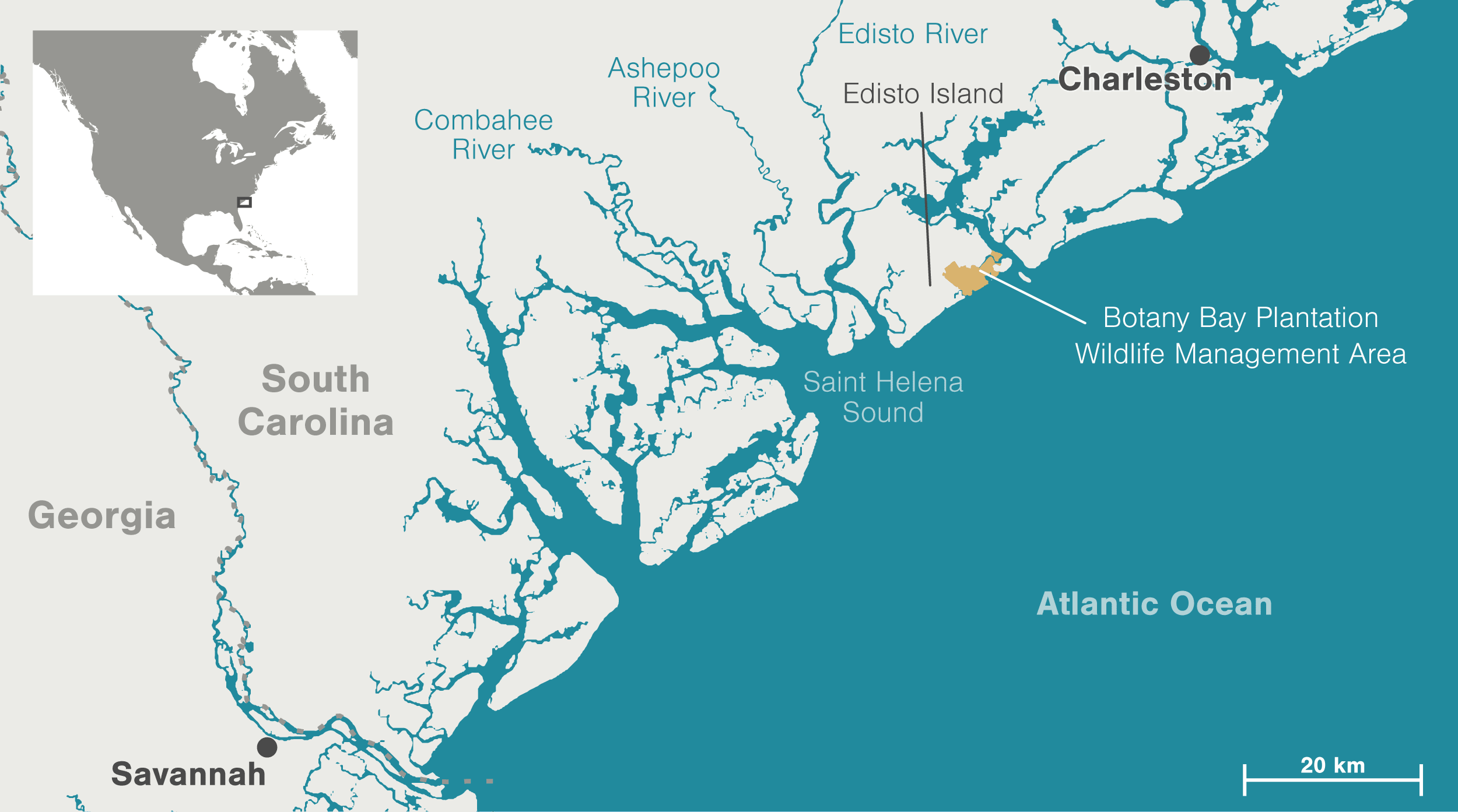 Shifting ACElines Hakai Magazine