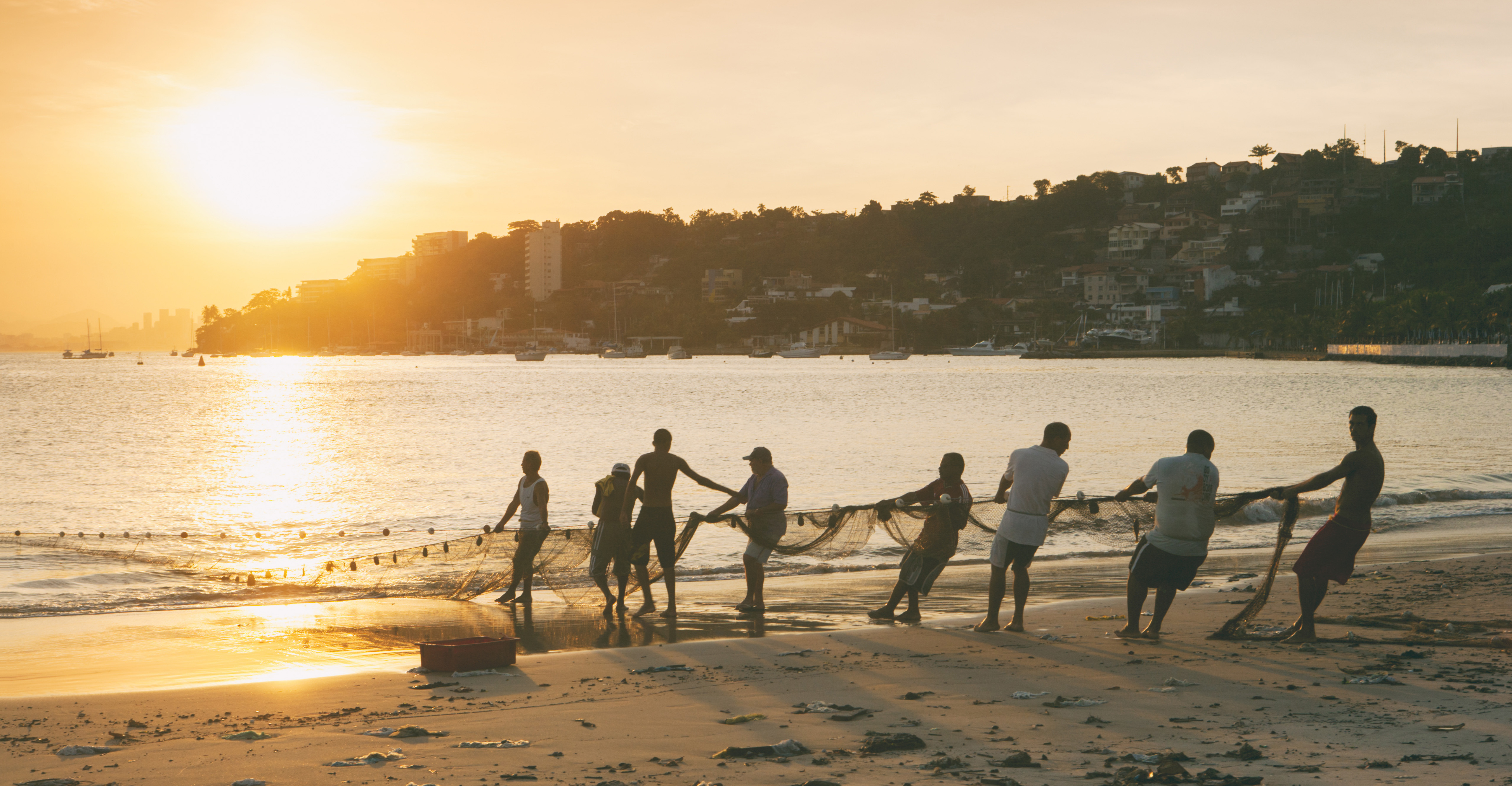 to Strand Hakai Magazine