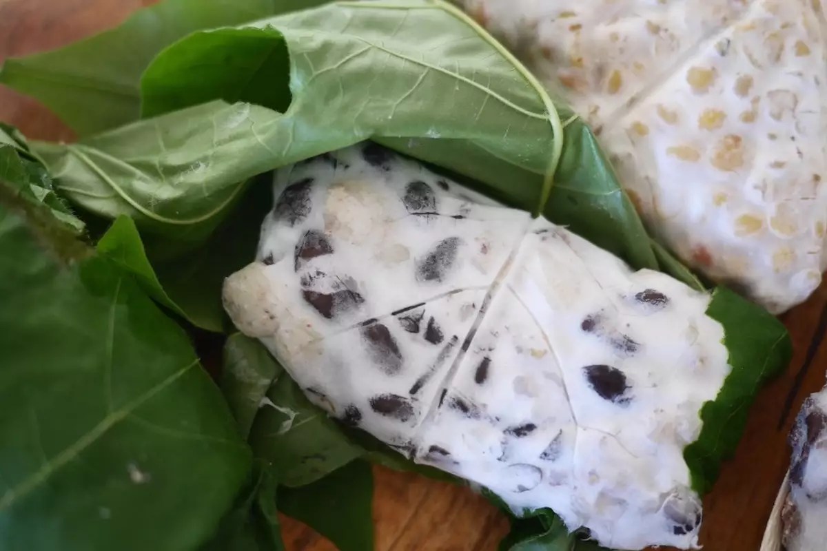 What is Tempeh? Learn How To Use Tempeh Cooking at Home