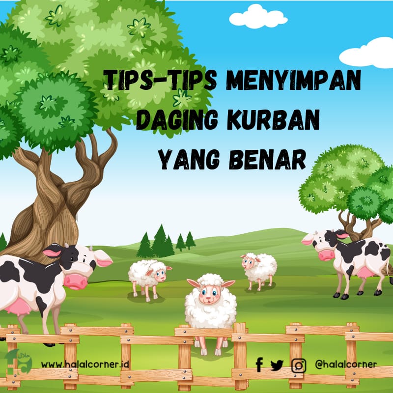Tips Menyimpan Daging Kurban Agar Tetap Berkualitas
