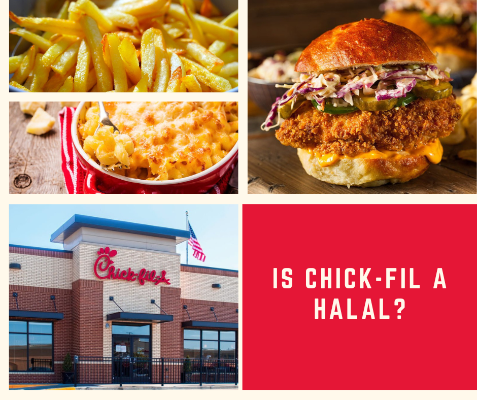 Is ChickFil A Halal Or Haram? Quick Facts 2023 HalalHaramWorld