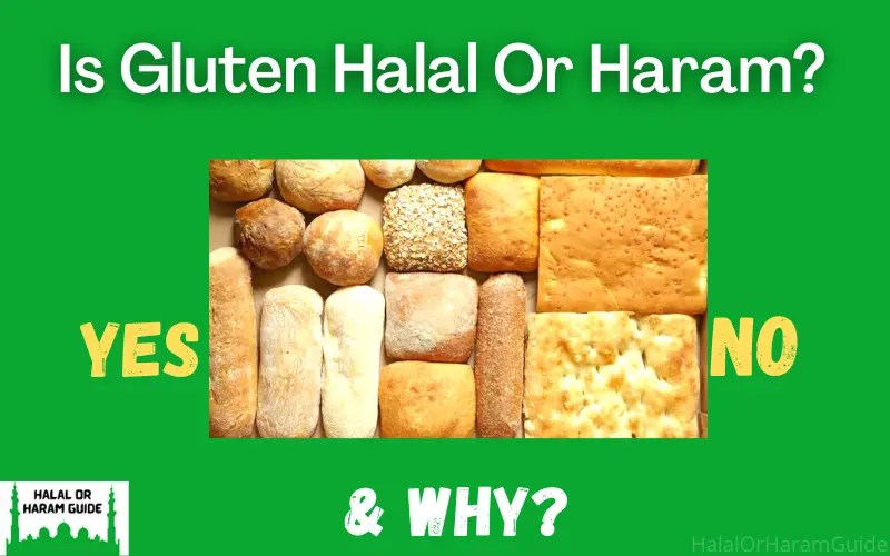 Is Gluten Halal Or Haram In Islam? (In Detail)