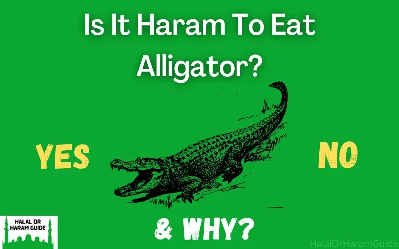 Is It Haram To Eat Alligator In Islam?