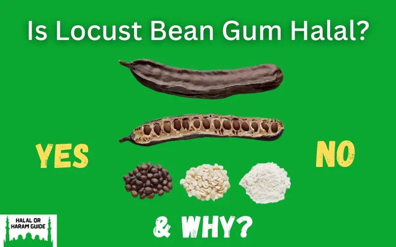 Is Locust Bean Gum Halal Or Haram (E410)?