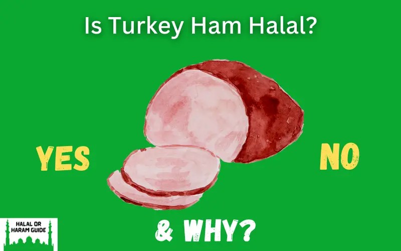 Is Turkey Ham Halal Or Haram In Islam?