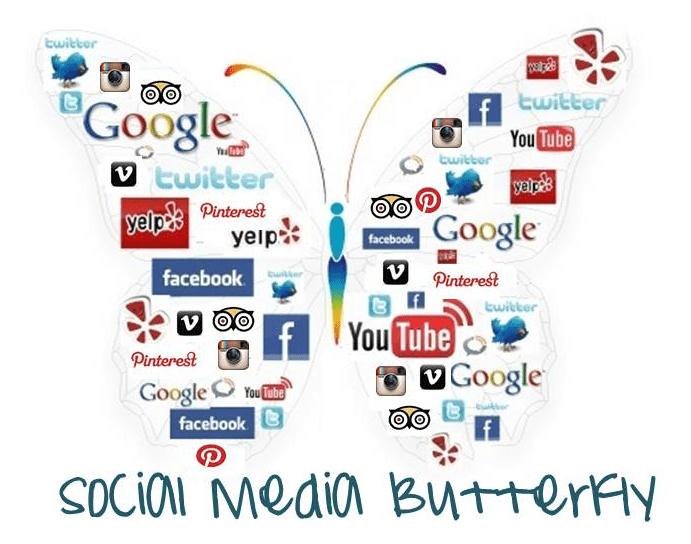 SOCIAL BUTTERFLY Herefordshire Association of Local Councils