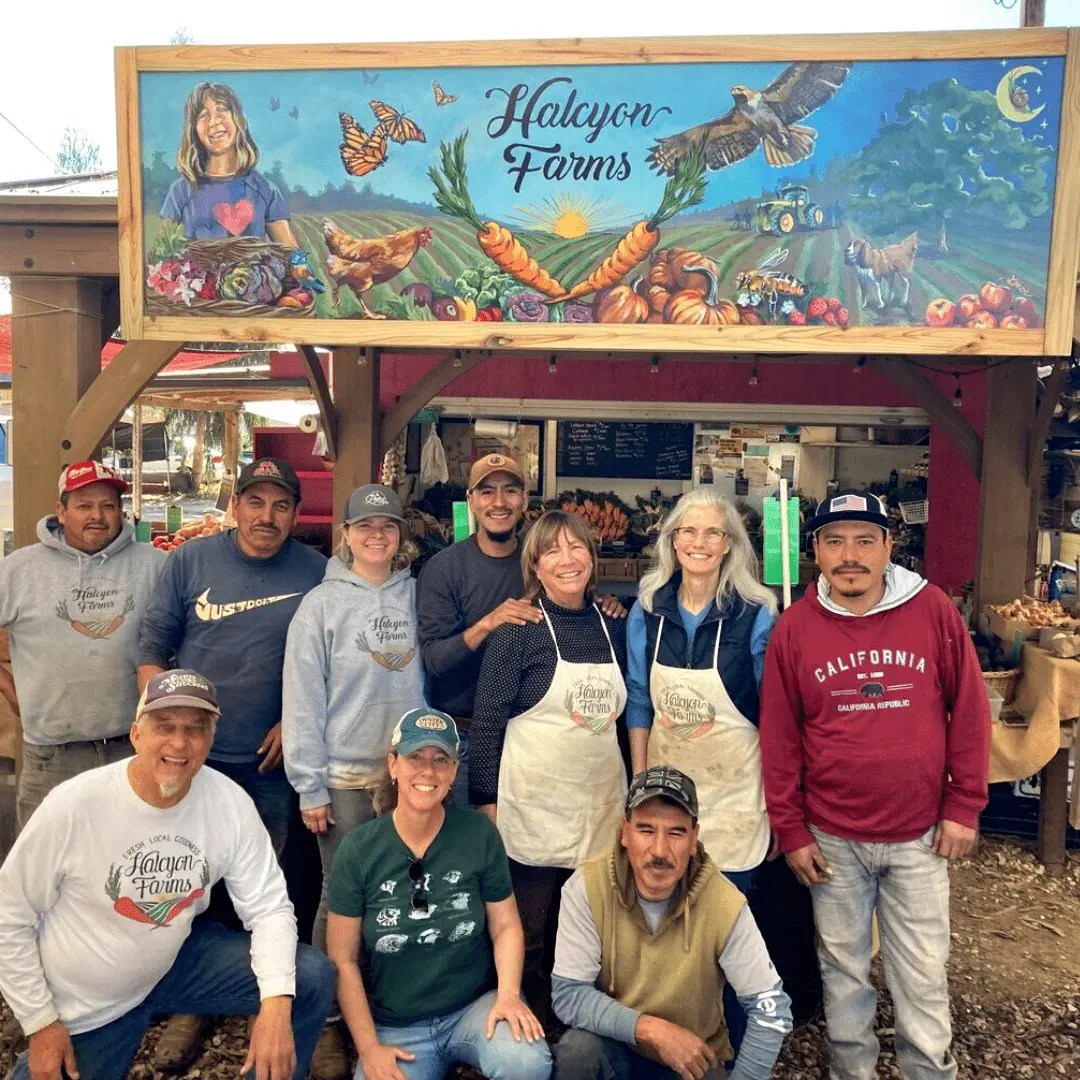 The Farm Halcyon Farms