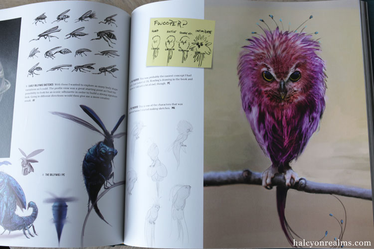 Fantastic Beasts And Where To Find Them The Art Of The Film Book