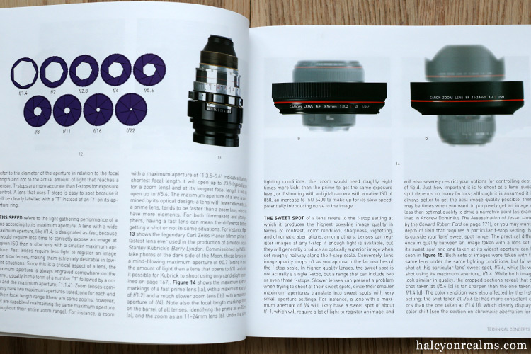 The Filmmaker's Eye The Language of the Lens Book Review Halcyon