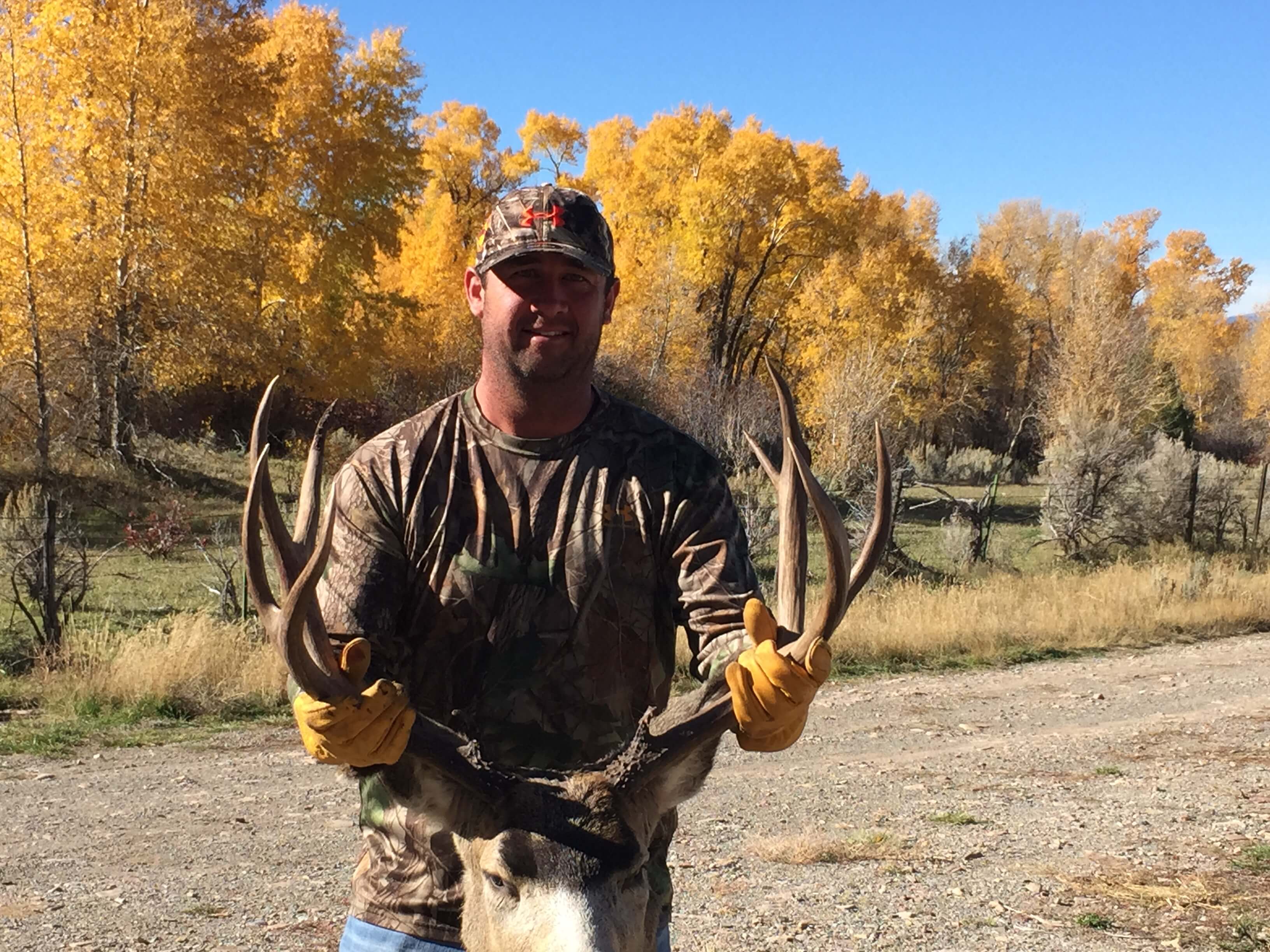 Hale Outfitting Wyoming's Premier Outfitter "Book Your Hunt Today"