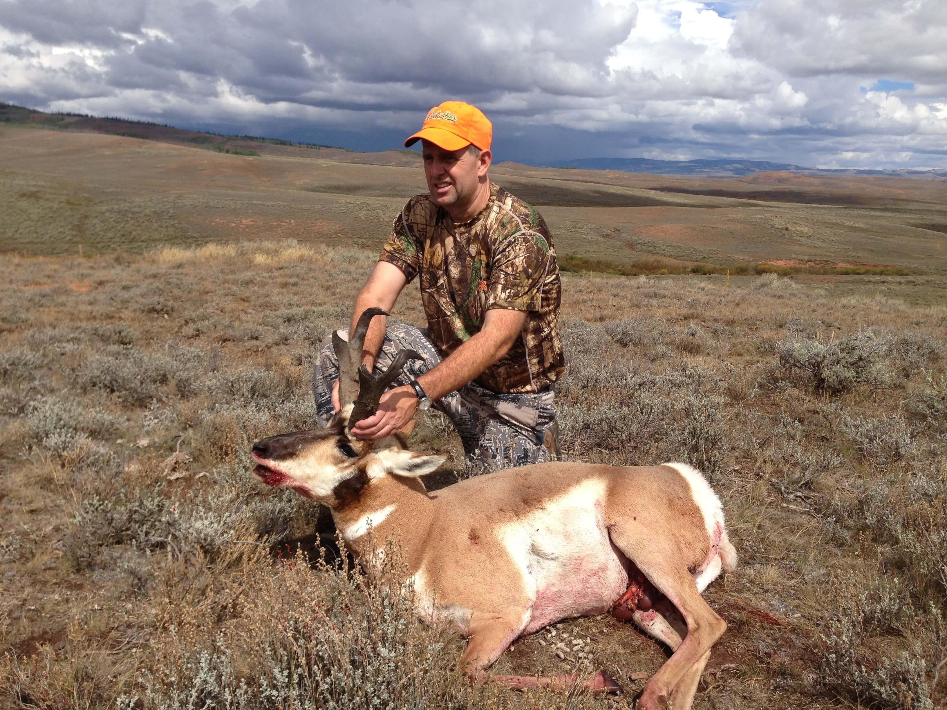 Hale Outfitting Wyoming's Premier Outfitter "Book Your Hunt Today"