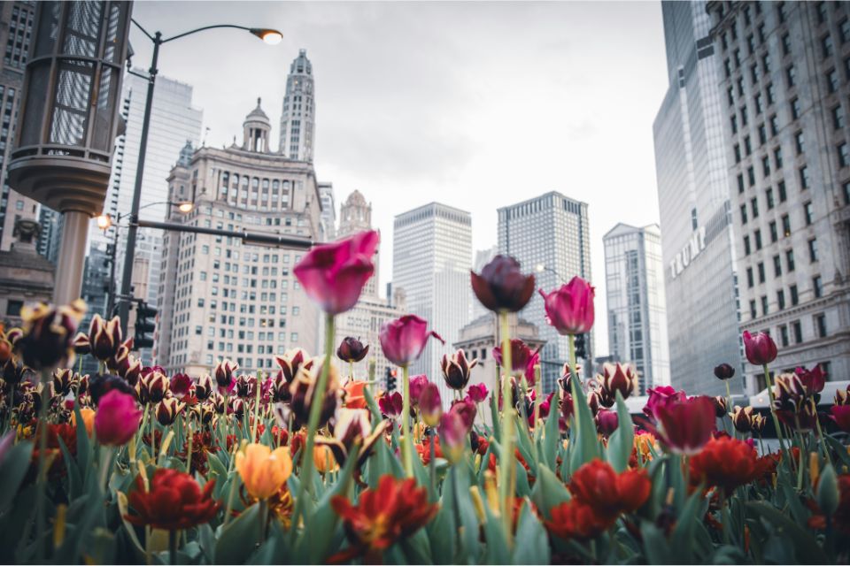 Tips for Spring Building Maintenance in Chicago Hales Property Management