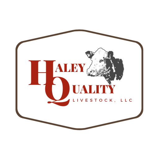 Cattle Haley Quality LLC