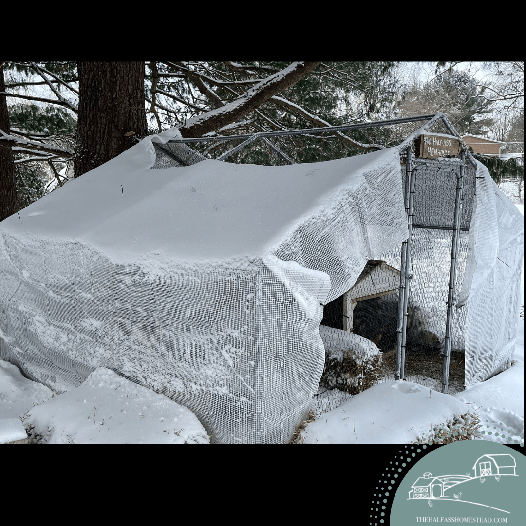 Winterizing the Chicken Coop and Run THE HALFASS HOMESTEAD