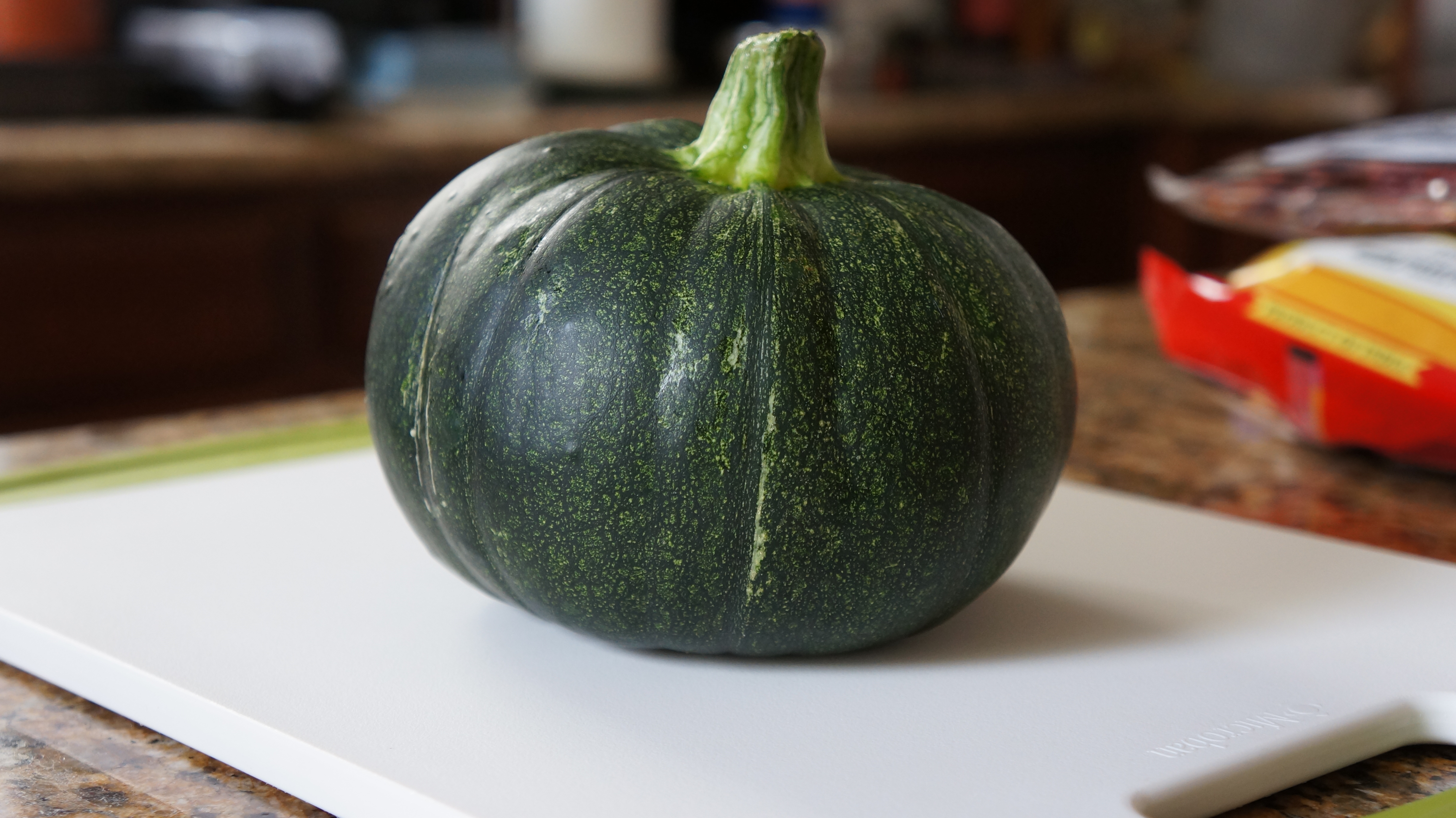 This zucchini is round r/mildlyinteresting