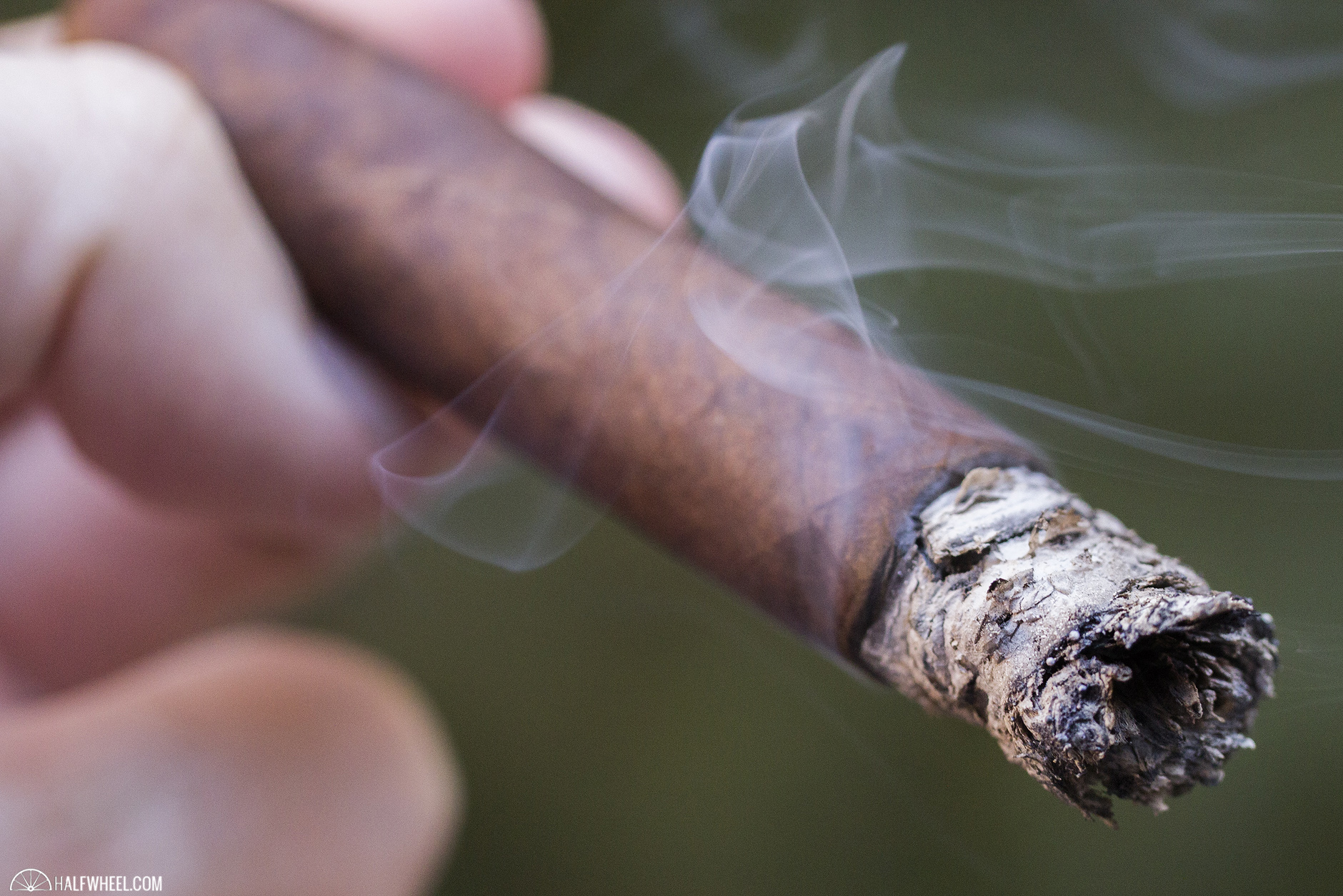 Buckeye Land halfwheel