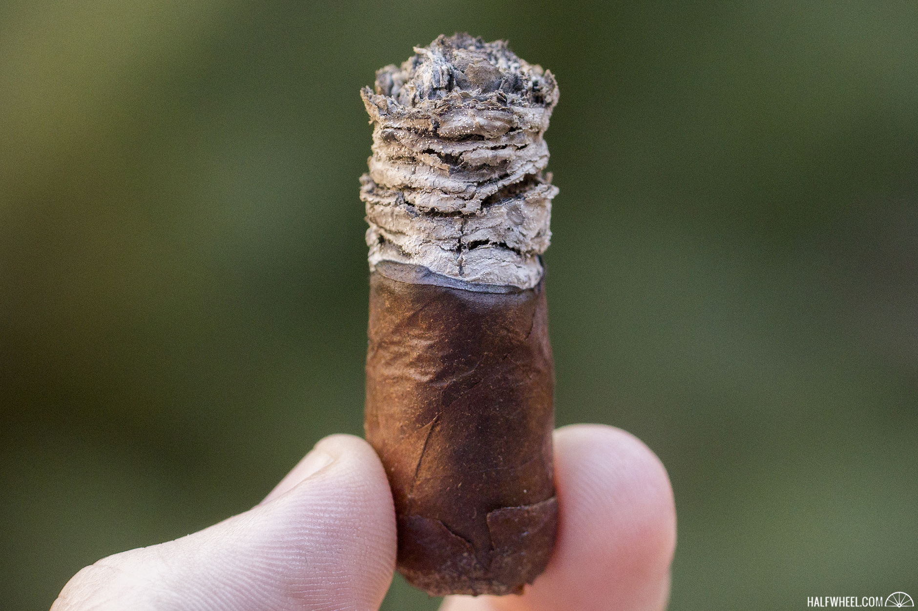 Buckeye Land halfwheel