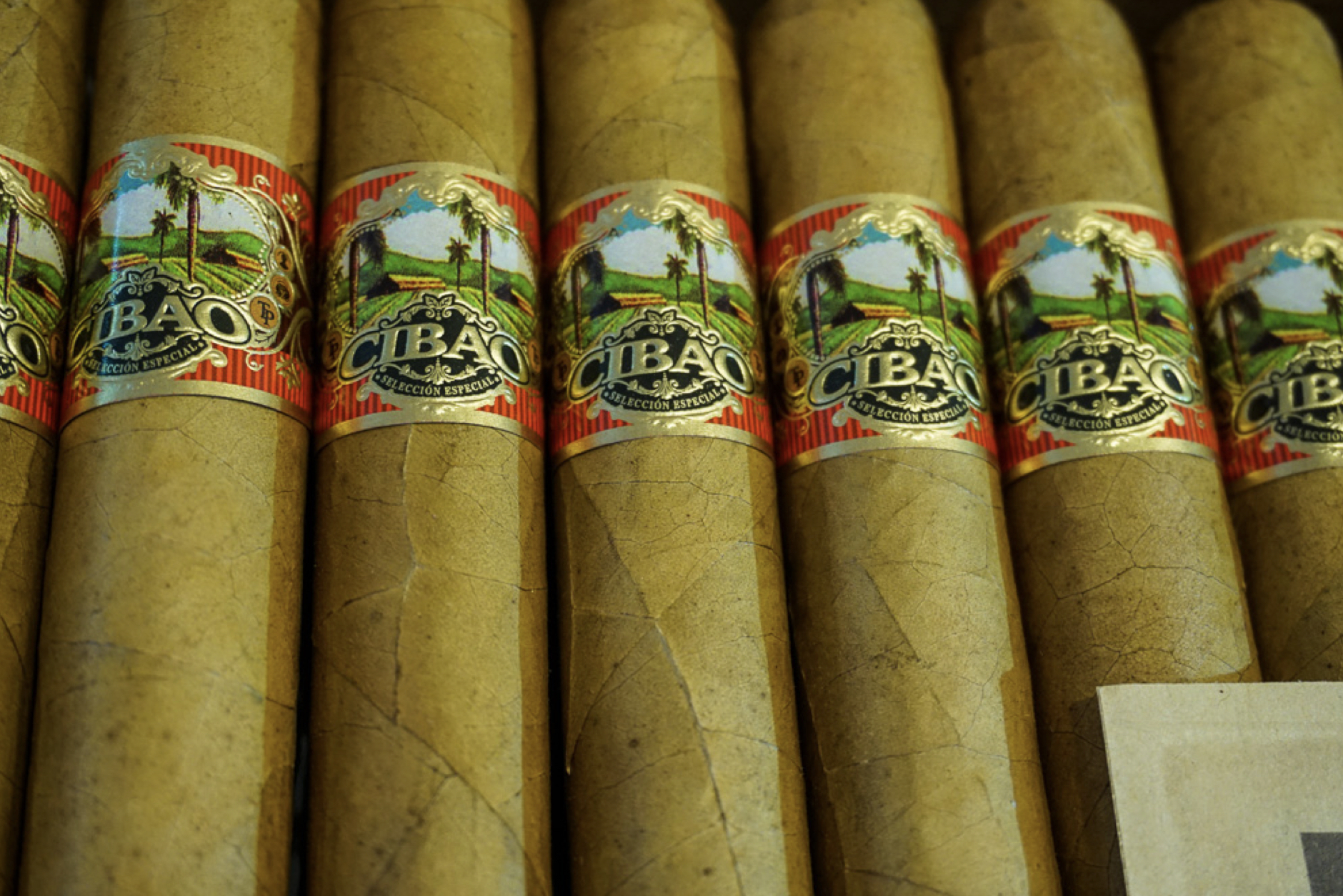 Cibao Brand Relaunched Through Smoke Miami halfwheel