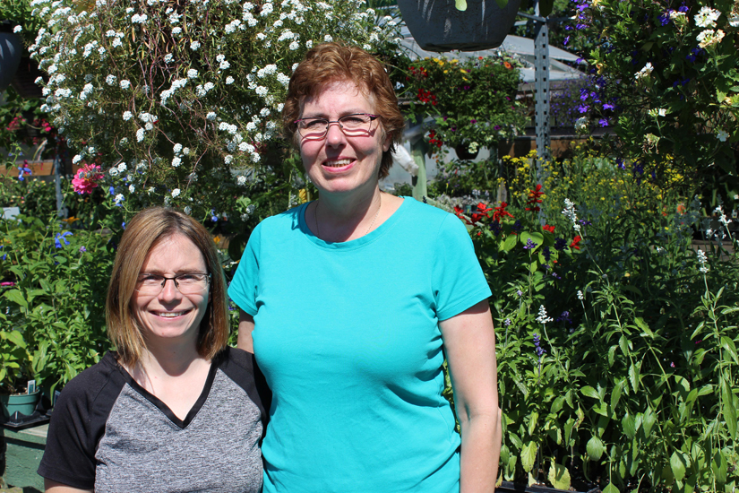 Country Rose has 30 reasons to celebrate Haliburton Echo